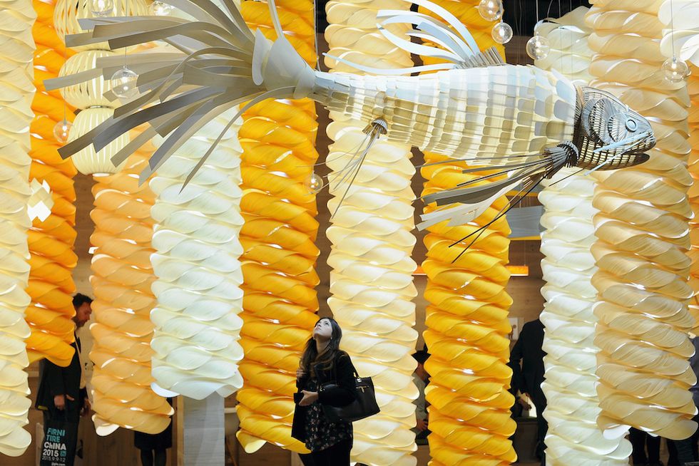 Yellow, Orange, Amber, Corn, Natural foods, Sweet corn, Corn kernels, Corn on the cob, 