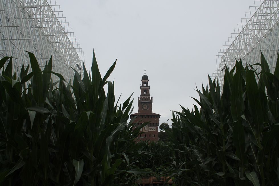 Greenhouse, Spire, Finial, Tower, Plantation, Agriculture, 