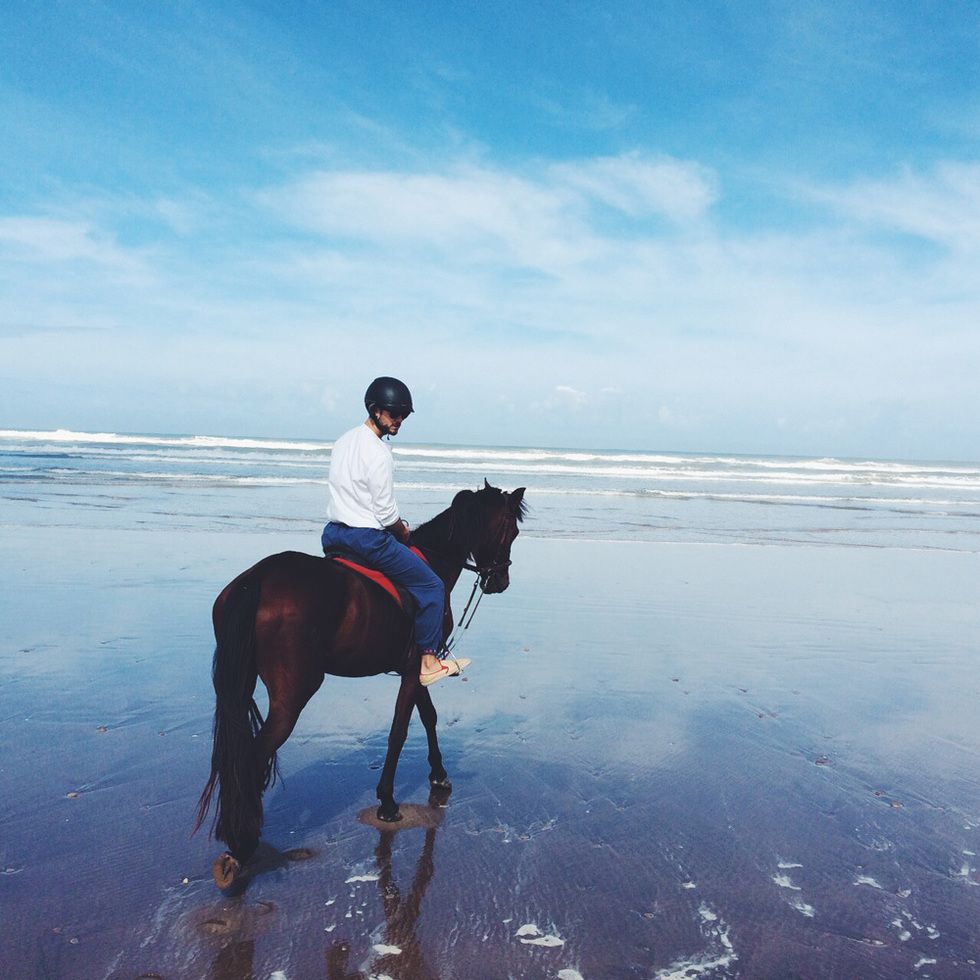 Horse, Working animal, Ocean, Vacation, Liver, Sea, Beach, Horse supplies, Shore, Trail riding, 