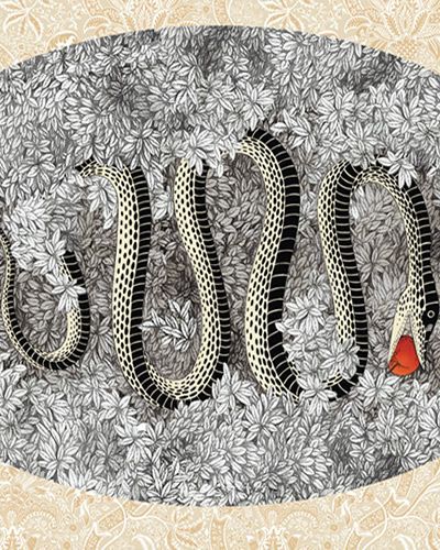 Organism, Pattern, Scaled reptile, Reptile, Painting, Illustration, Visual arts, Snake, Grass snake, Drawing, 