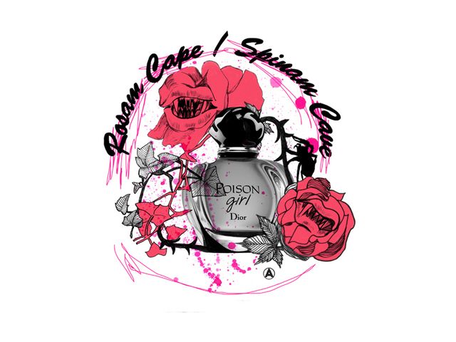 Petal, Magenta, Pink, Rose family, Artificial flower, Rose order, Rose, Creative arts, Garden roses, Graphics, 