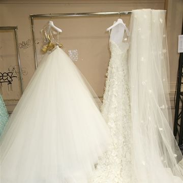 Textile, Wedding dress, Bridal accessory, Bridal clothing, Gown, Picture frame, Veil, Ivory, Embellishment, Bride, 