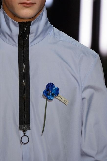 Sleeve, Collar, Dress shirt, Jacket, Button, Invertebrate, Zipper, 