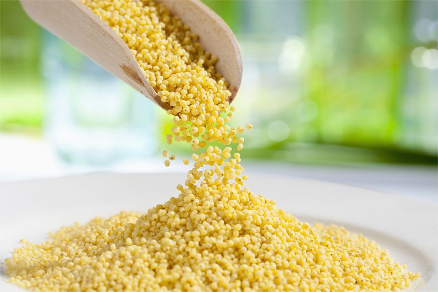 Yellow, Ingredient, Close-up, Animal feed, Grain, Nutritional yeast, Food grain, 