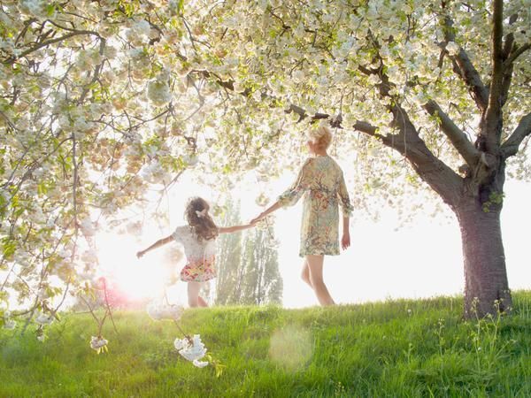 Branch, Nature, Grass, Plant, Green, Leaf, People in nature, Sunlight, Woody plant, Spring, 