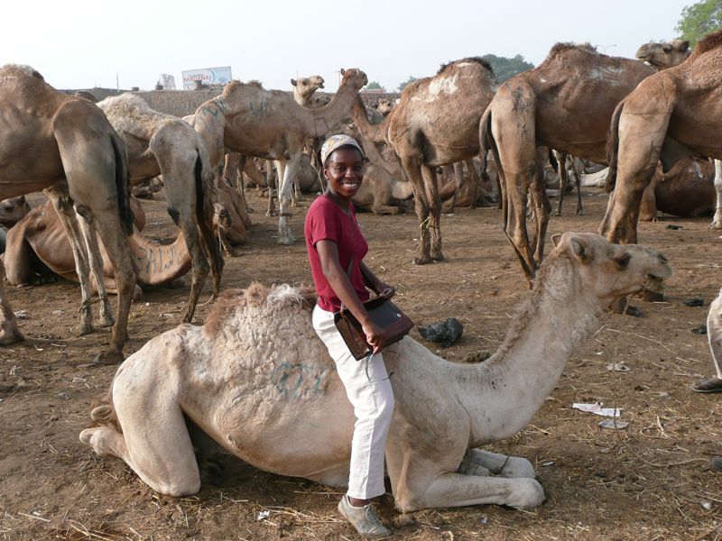 Camel, Human, Mode of transport, People, Camelid, Vertebrate, Landscape, Photograph, Working animal, Jaw, 