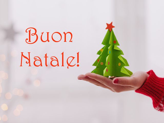 Christmas decoration, Holiday, Carmine, Evergreen, Christmas eve, Christmas ornament, Christmas, Creative arts, Christmas tree, Ornament, 