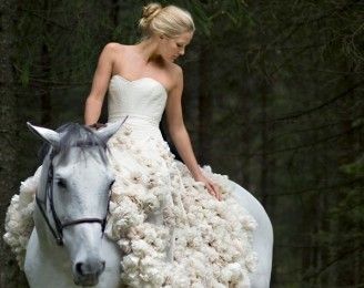 Clothing, Human, Dress, Photograph, Bridal clothing, White, Horse, Working animal, Formal wear, Gown, 