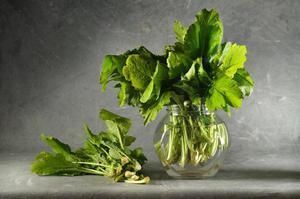 Yellow, Green, Leaf, Photograph, White, Ingredient, Photography, Still life photography, Herb, Leaf vegetable, 