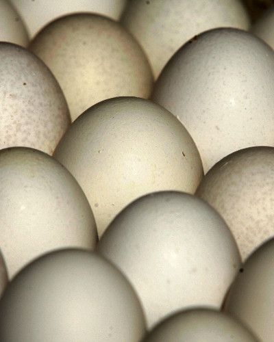 Brown, Ingredient, Khaki, Egg, Egg, Beige, Tan, Collection, Symmetry, Still life photography, 