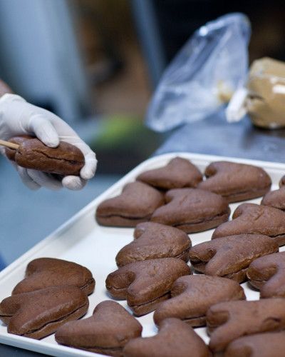 Dolcetti Al Cocco E Cacao