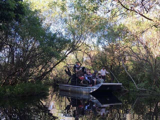 Branch, Bank, Reflection, Forest, Wetland, Jungle, Adventure, Bayou, Woodland, Rainforest, 