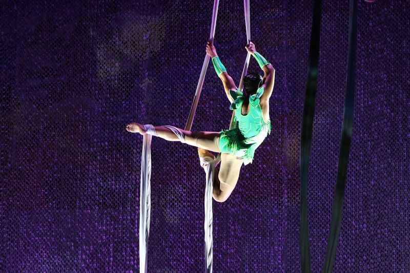 Entertainment, Human leg, Performing arts, Event, Acrobatics, Circus, Performance, Knee, Muscle, Physical fitness, 