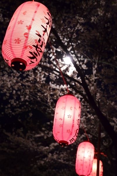 Lighting, Lantern, Red, Pink, Magenta, Light, Tints and shades, Carmine, Colorfulness, Lighting accessory, 