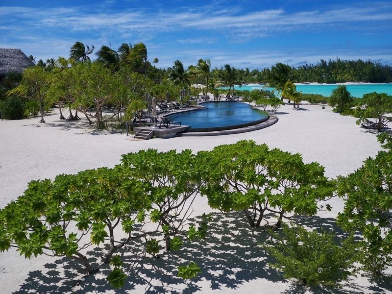 Natural landscape, Swimming pool, Resort, Tropics, Wetland, Arecales, Palm tree, Water feature, Resort town, Landscaping, 