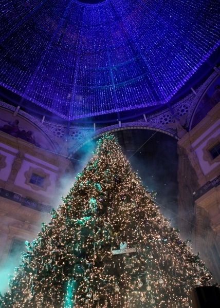 Blue, Purple, Christmas tree, Christmas decoration, Violet, Majorelle blue, Holiday, Christmas, Space, Christmas eve, 