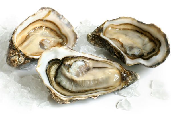Oyster, Organism, Bivalve, Food, Ingredient, Natural material, Seafood, Shellfish, Abalone, Shell, 