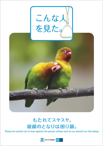 Nature, Organism, Green, Parrot, Bird, Beak, Colorfulness, Adaptation, Wing, Orange, 