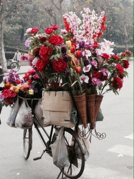 Bicycle wheel rim, Bicycle wheel, Bicycle accessory, Petal, Flower, Bicycle, Bouquet, Bicycle tire, Bicycle part, Cut flowers, 