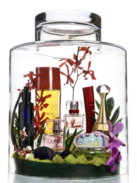Glass, Liquid, Fluid, Bottle, Flowering plant, Glass bottle, Barware, Botany, Transparent material, Drinkware, 