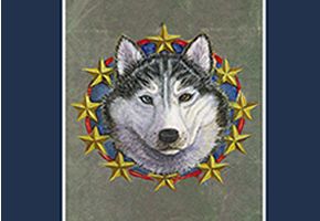 Carnivore, Wolf, Dog, Pattern, Grey, Snout, Canis, Canidae, Rectangle, Triangle, 