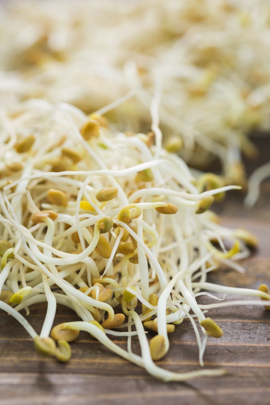 Yellow, Food, Alfalfa, Sprouting, Ingredient, Bean sprouts, Flowering plant, Photography, Close-up, Macro photography, 
