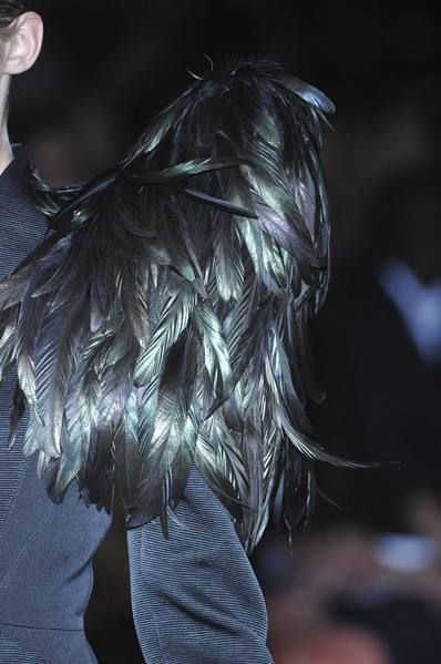 Feather, Wing, Natural material, Silver, Bird, Beak, 