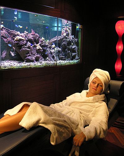 Human body, Sitting, Comfort, Freshwater aquarium, Aquarium decor, Lap, Reef, Armrest, Fish supply, Lamp, 