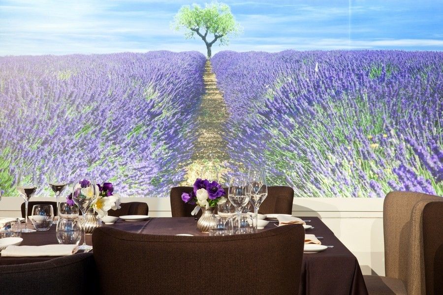 Tablecloth, Blue, Purple, Lavender, Textile, Furniture, Table, Violet, Linens, Petal, 