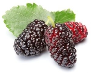 Boysenberry, Natural foods, Leaf, Fruit, Produce, Food, Seedless fruit, Berry, Bramble, Leaf vegetable, 