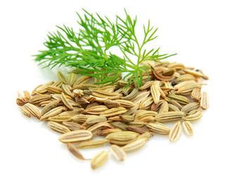 Ingredient, Seed, Fines herbes, Produce, Herb, Food grain, Natural material, Sunflower seed, Oil, Spice, 