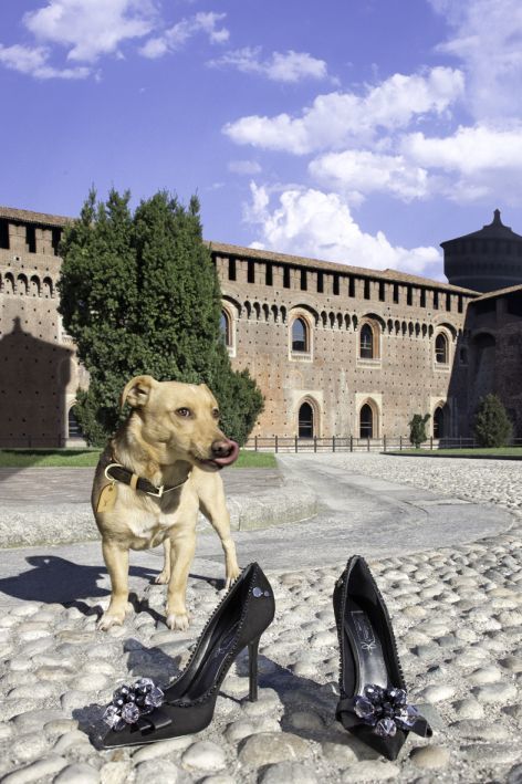 Dog, Dog breed, Carnivore, Snout, High heels, Sandal, Arch, Working animal, Palace, Medieval architecture, 
