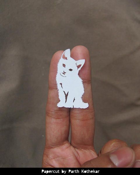 Finger, Skin, Joint, Thumb, Gesture, Nail, Snowshoe hare, Rodent, 