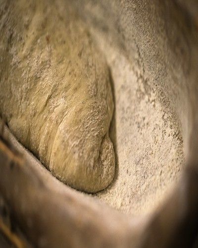 Close-up, Artifact, Baker's yeast, 