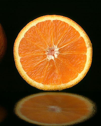 Citrus, Orange, Tangerine, Peach, Mandarin orange, Amber, Fruit, Natural foods, Ingredient, Orange, 