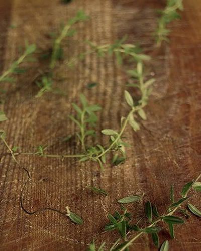 Brown, Soil, Grass family, Plant stem, Herbaceous plant, Annual plant, Herb, Subshrub, Field, 