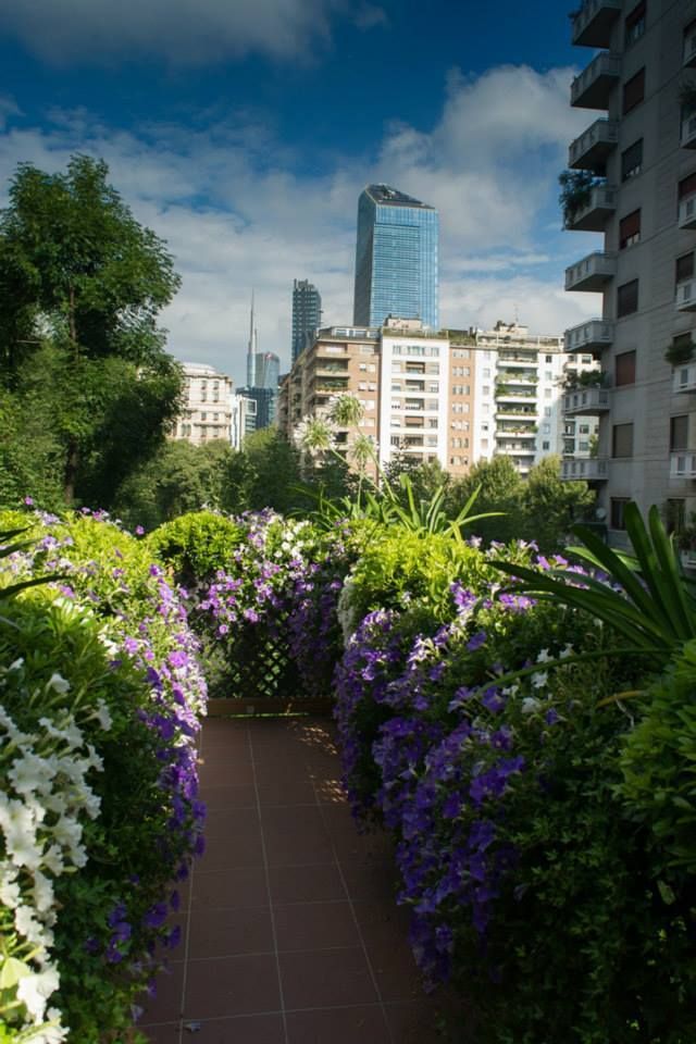 Plant, Shrub, Flower, Tower block, Garden, Building, Purple, Condominium, Apartment, Lavender, 