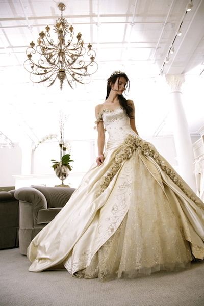 Clothing, Bridal clothing, Shoulder, Dress, Textile, Photograph, White, Gown, Formal wear, Style, 
