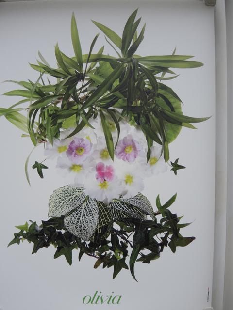 Flower, Petal, Botany, Flowering plant, Terrestrial plant, Floristry, Artificial flower, Illustration, Annual plant, Pedicel, 