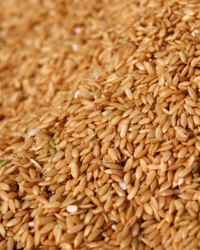 Ingredient, Food grain, Wheat, Khorasan wheat, Grass family, Seed, Dinkel wheat, Close-up, Staple food, Whole grain, 