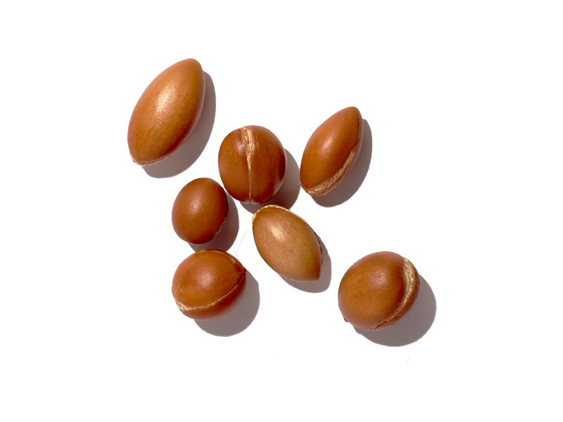 Brown, Ingredient, Amber, Tan, Chestnut, Nuts & seeds, Hazelnut, Still life photography, 