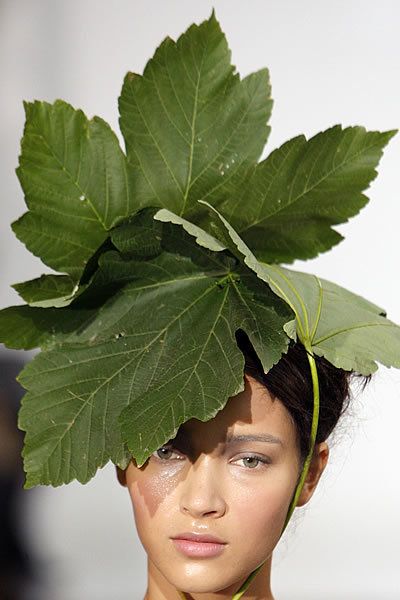 Nose, Lip, Eyebrow, Leaf, Eyelash, Annual plant, Portrait photography, Headpiece, Portrait, Grape leaves, 