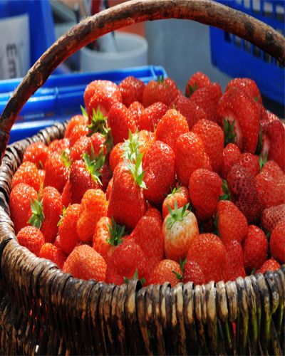 Food, Natural foods, Fruit, Sweetness, Seedless fruit, Produce, Strawberry, Strawberries, Accessory fruit, Frutti di bosco, 