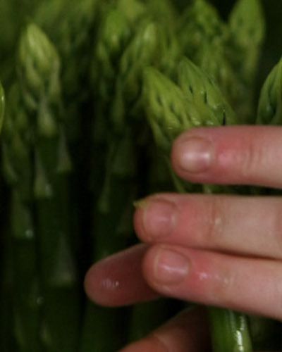 Green, Finger, Nail, Thumb, Terrestrial plant, Flesh, 