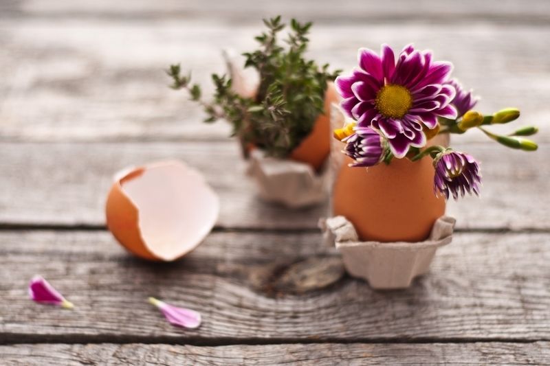 Flowerpot, Petal, Flower, Purple, Violet, Still life photography, Magenta, Vase, Peach, Flowering plant, 