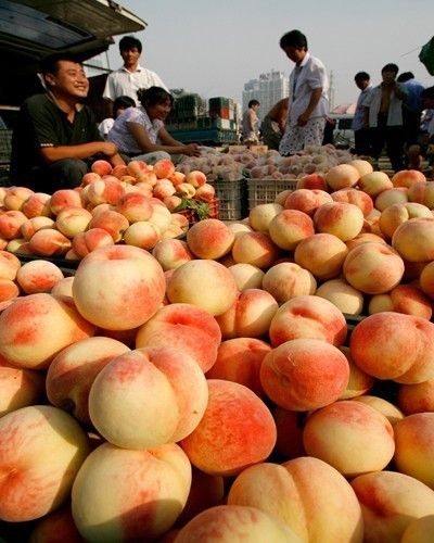 Fruit, Local food, Peach, Public space, Food, Whole food, Produce, Pink, Peach, Natural foods, 