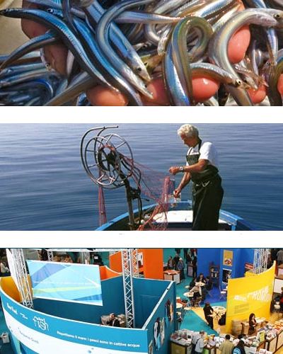 Leisure, Technology, Travel, World, Naval architecture, Watercraft, Cable, Water transportation, Holiday, Wire, 