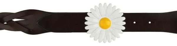 White, Flower, Petal, camomile, Chamaemelum nobile, Flowering plant, chamomile, Still life photography, Daisy, Circle, 