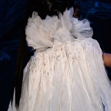 Textile, Natural material, Wedding dress, Gown, Fur, Embellishment, Fashion design, Haute couture, Bridal clothing, Feather, 