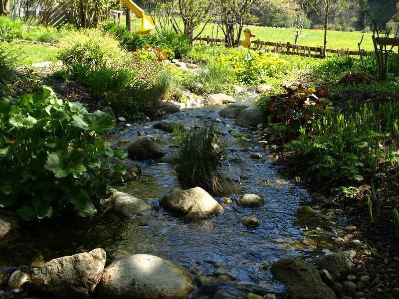 Natural landscape, Stream, Stream bed, Waterway, Watercourse, Rock, Arroyo, Rural area, Creek, Shrub, 